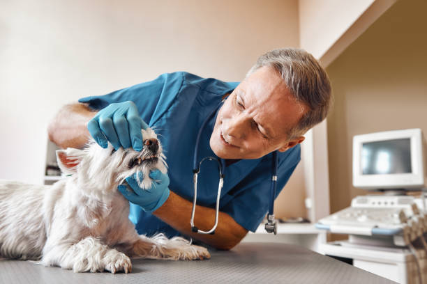 Best Broken Tooth Emergency  in Arkansas City, KS